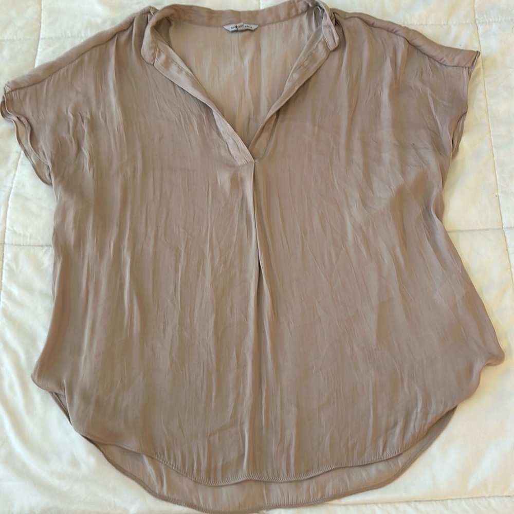 Light Mauve Dress Top